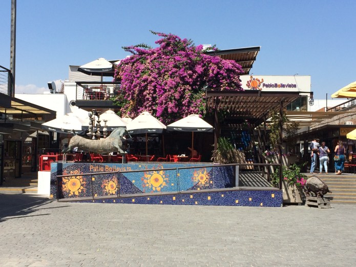 Antarctica I Phone 027