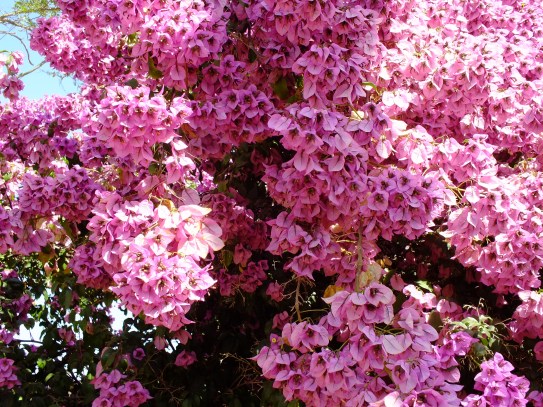 Antarctica Part 1 210