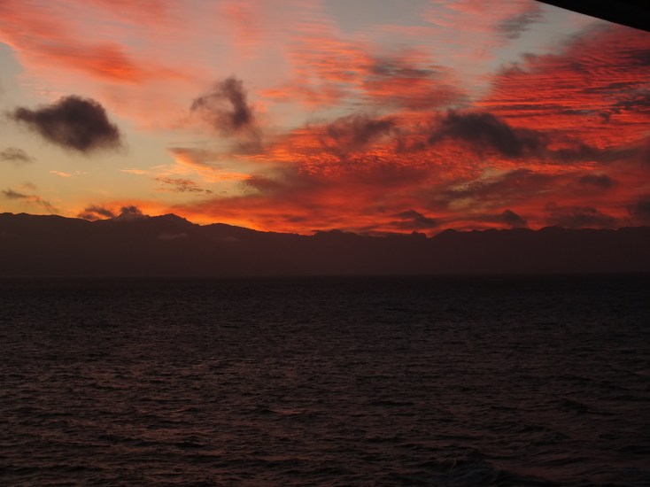 Antarctica Part 1 308