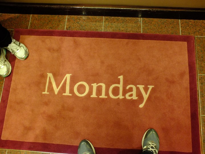 Antarctica Part 1 559