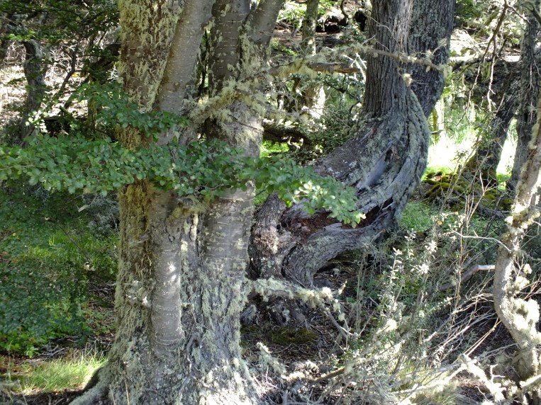 Antarctica Part 1 1122