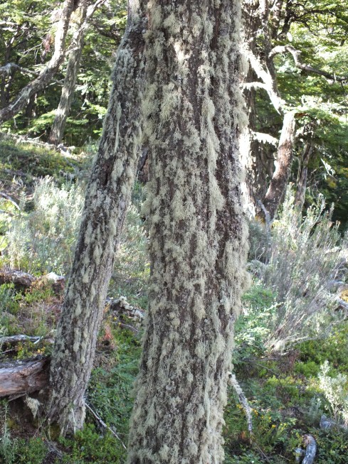 Antarctica Part 1 1129