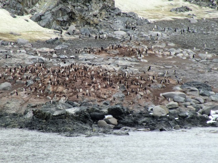 Antarctica Part 1 1479