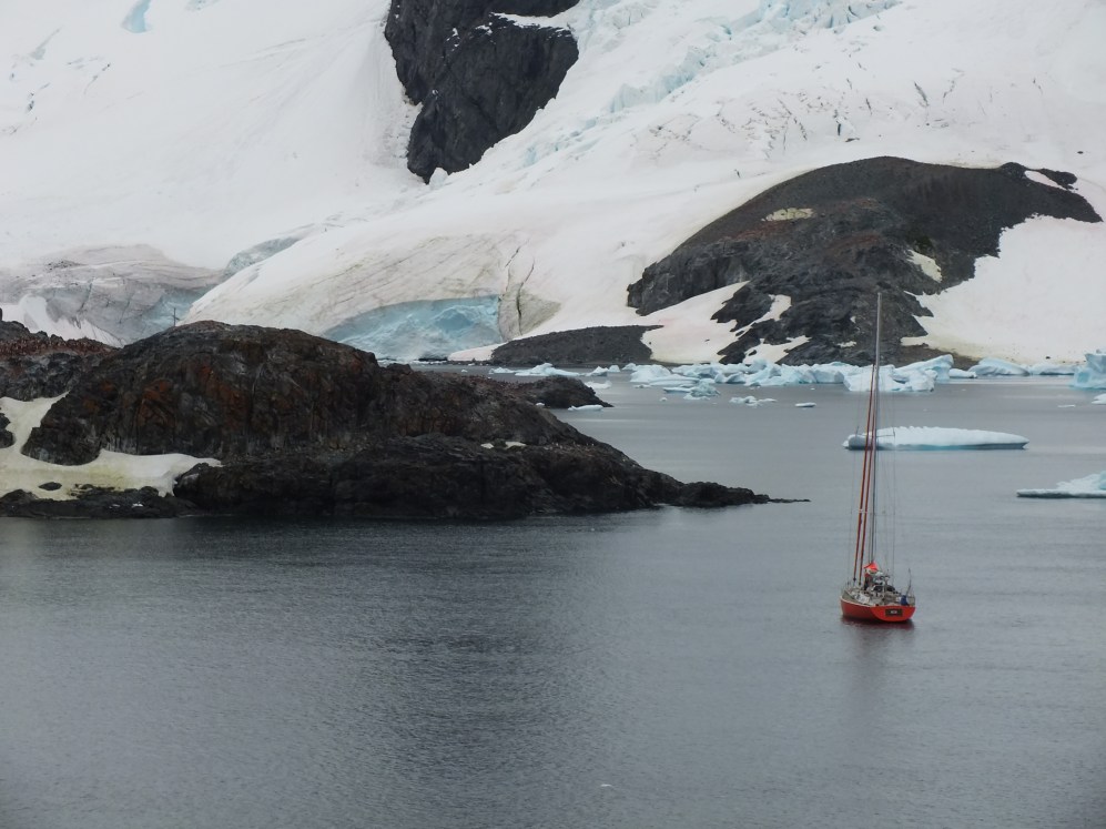 Antarctica Part 1 1494