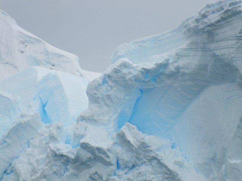 Antarctica Part 1 1589