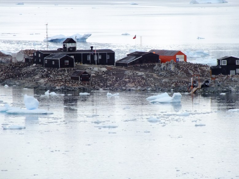 Antarctica Part 1 1607