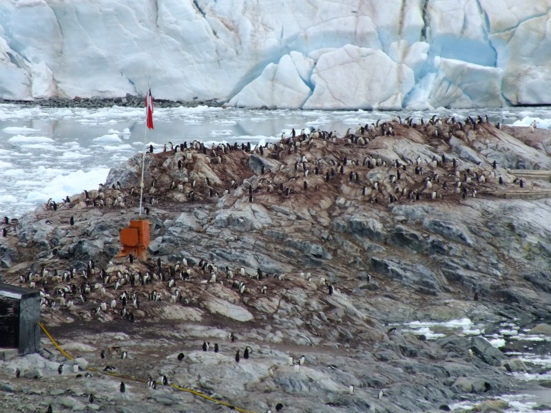 Antarctica Part 1 1619