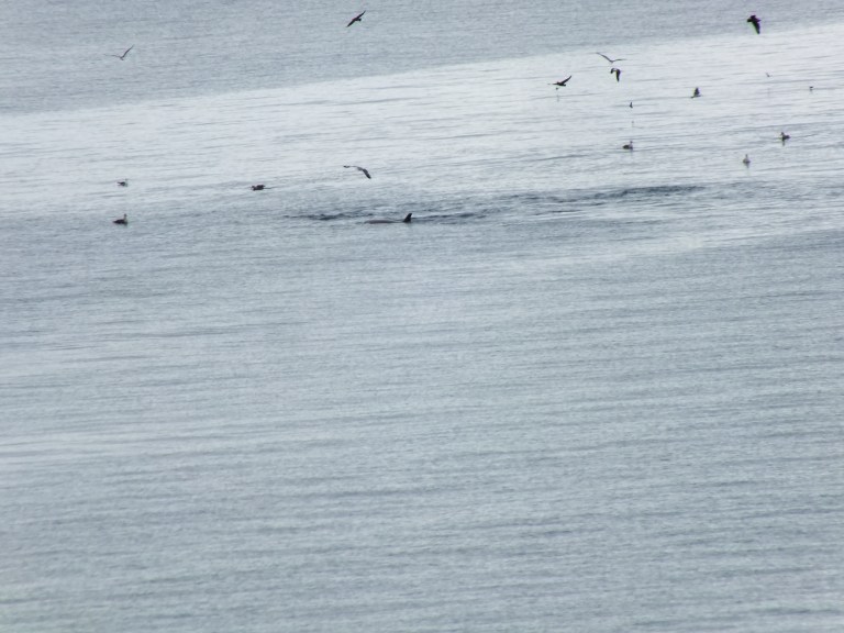 Antarctica Part 1 1649