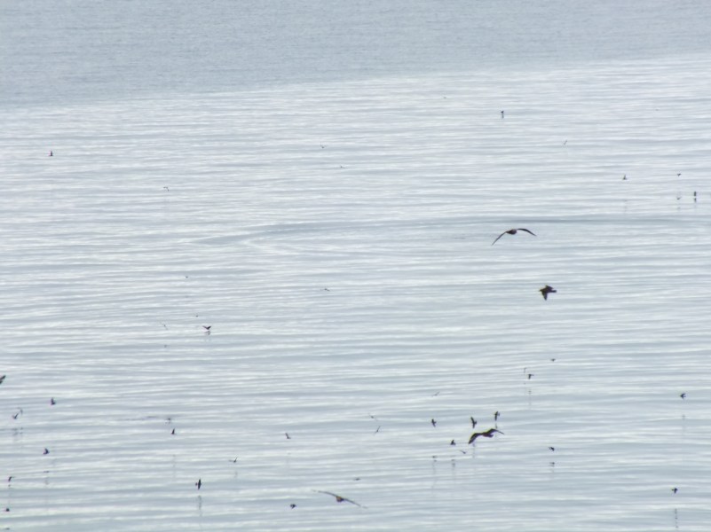 Antarctica Part 1 1675