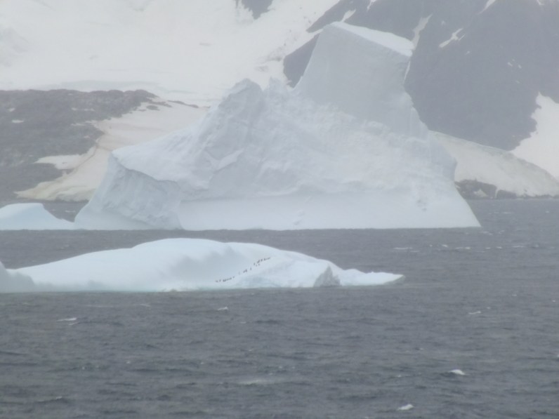 Antarctica Part 1 1885