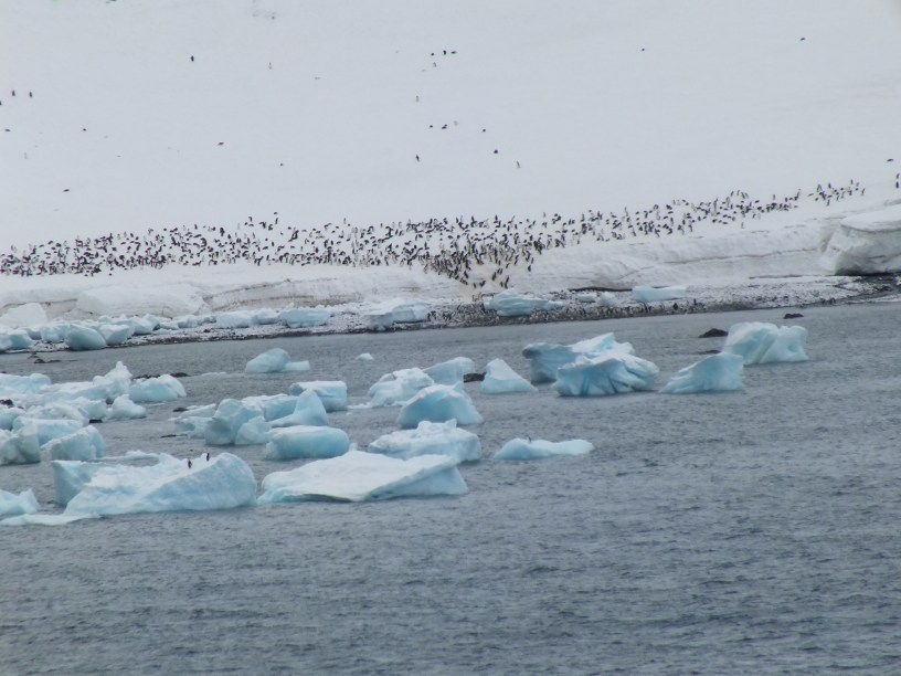 Antarctica Part 1 2131