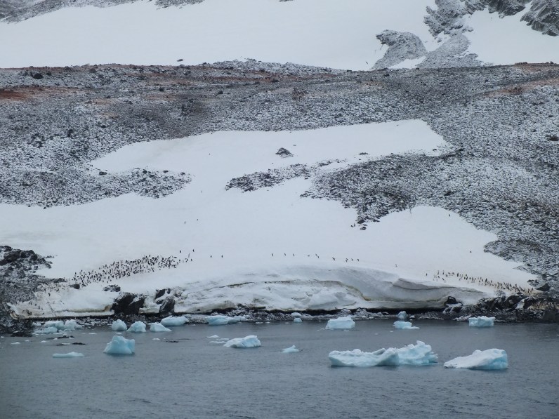 Antarctica Part 1 2138