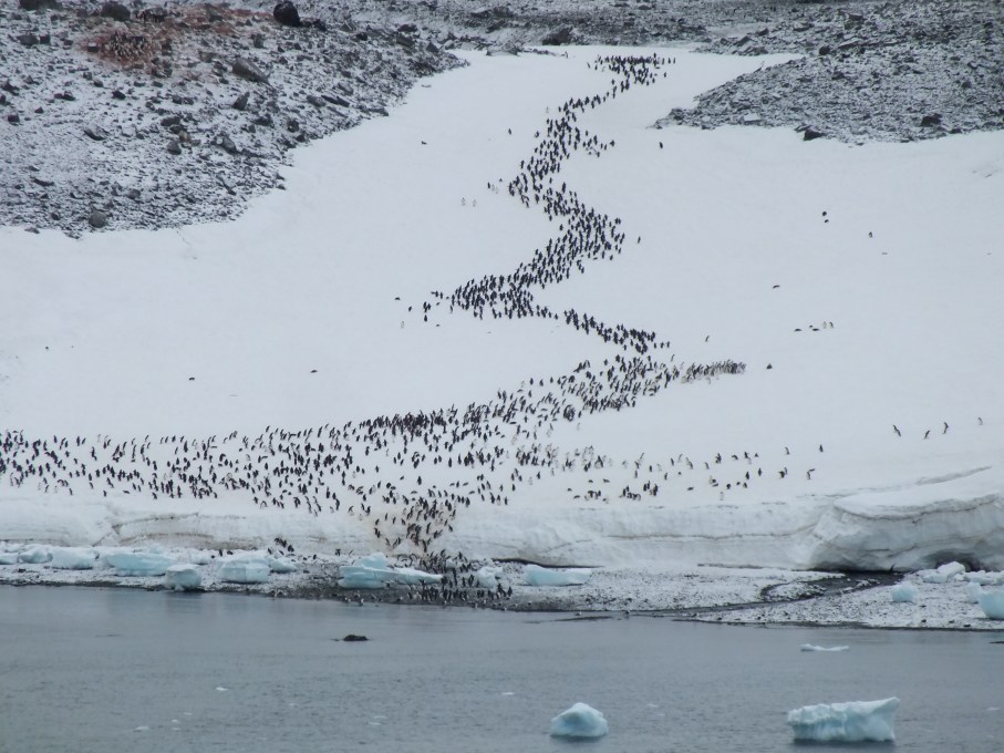 Antarctica Part 1 2142