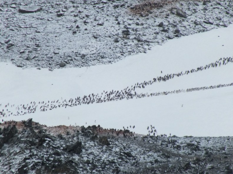 Antarctica Part 1 2155