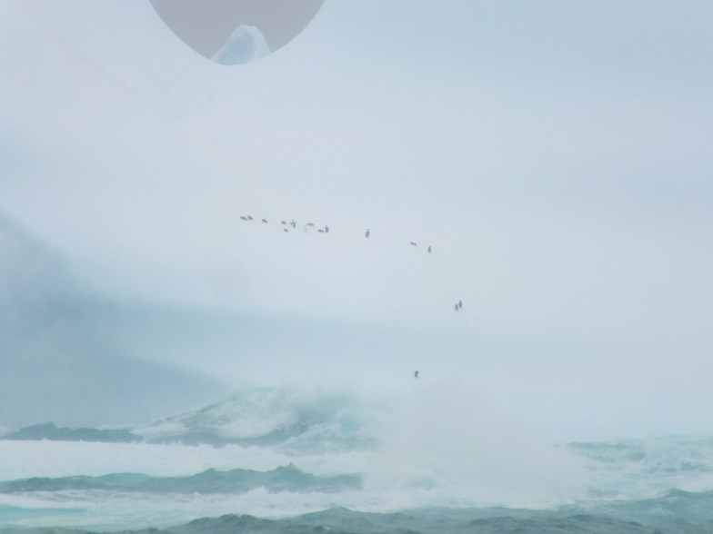 Antarctica Part 1 2207