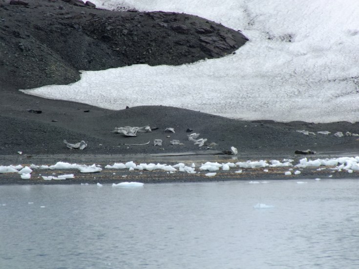 Antarctica Part 1 2286