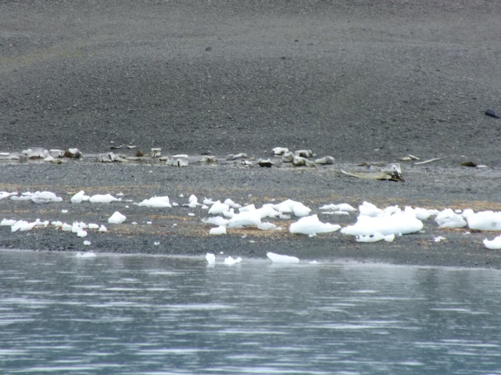 Antarctica Part 1 2305