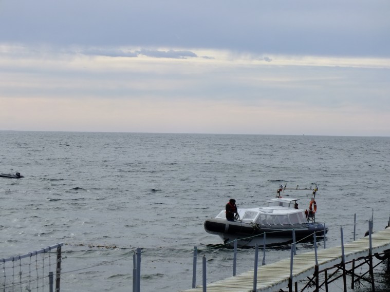 Antarctica Part 1 770