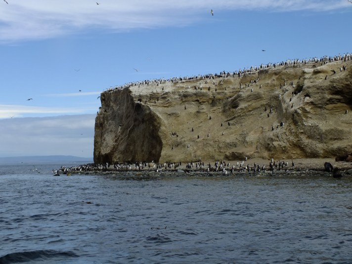 Antarctica Part 1 824