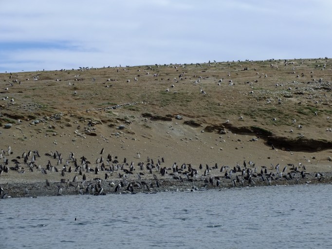 Antarctica Part 1 829