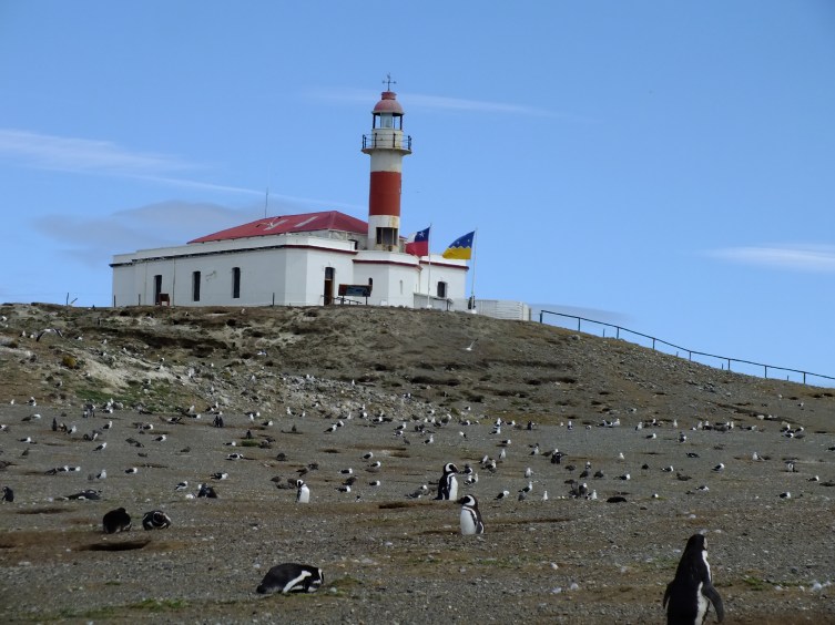 Antarctica Part 1 856