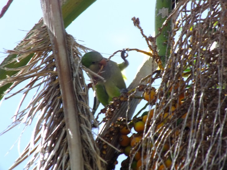 Antarctica Part 2 379