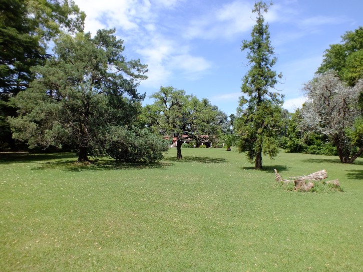 Antarctica Part 2 712