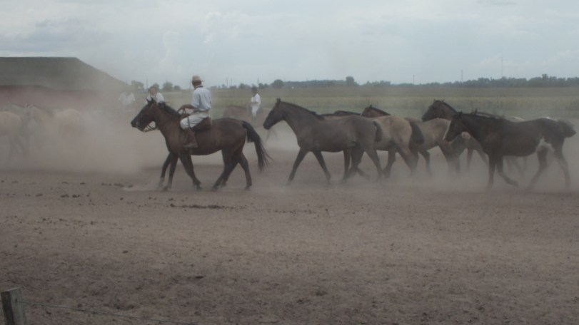 Antarctica Part 2 763