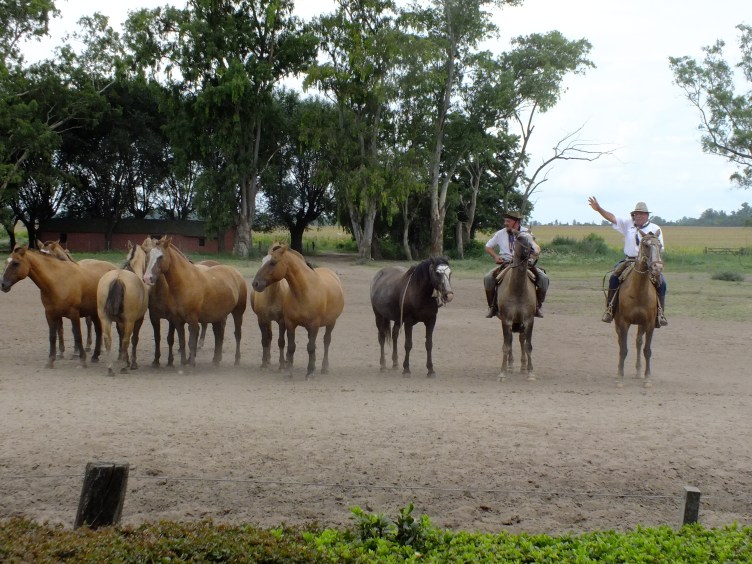 Antarctica Part 2 764