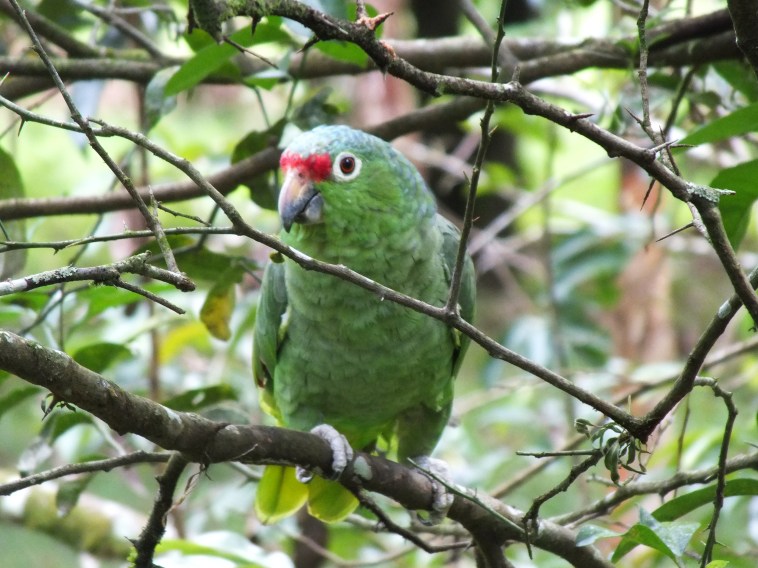 DSCF5004 - Copy - Copy - Copy - Copy