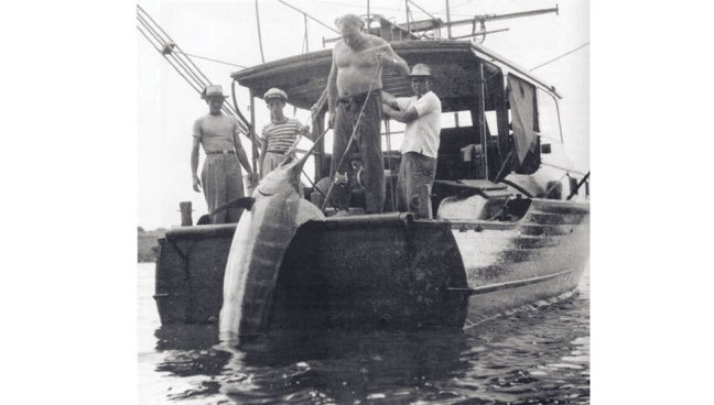 p1803u1dd210r9n7chh71ovb26m8